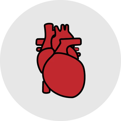 Heart Health herbal products collection