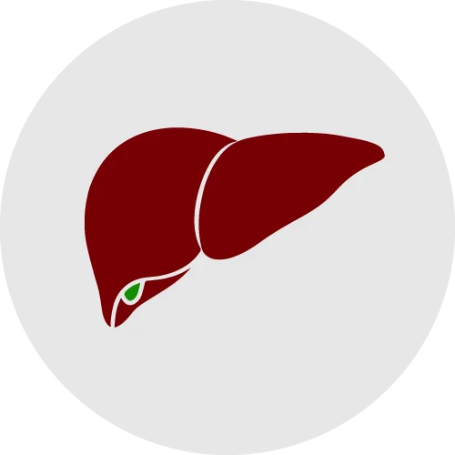Liver Health herbal products collection