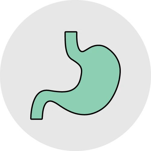 Stomach Health herbal products collection