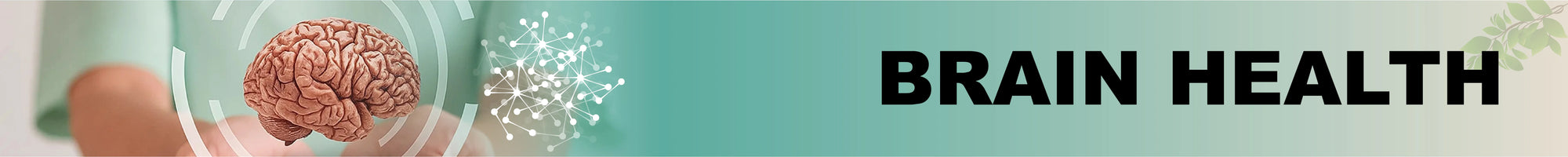 Liver Health collection banner showing a highlighted liver icon with a medical theme and soft blue background for Hayat Dawakhana herbal products.