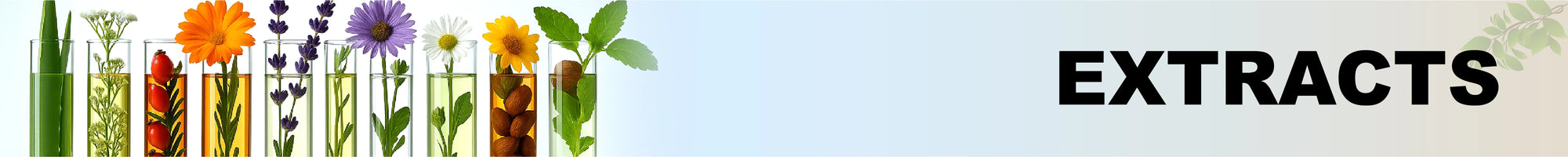 Liver Health collection banner showing a highlighted liver icon with a medical theme and soft blue background for Hayat Dawakhana herbal products.