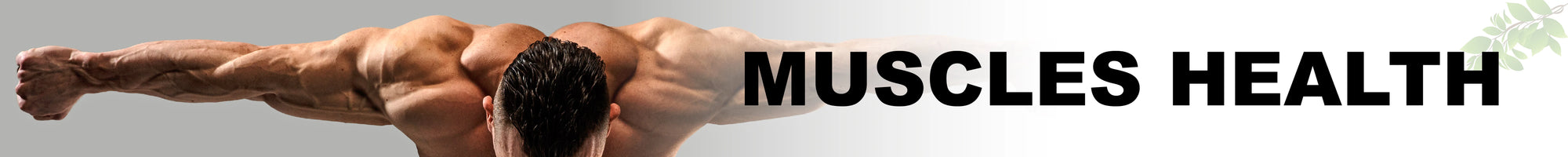 Liver Health collection banner showing a highlighted liver icon with a medical theme and soft blue background for Hayat Dawakhana herbal products.